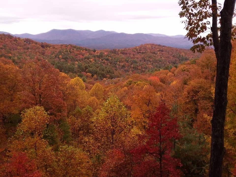 Moose Mountain Lodge, above Ellijay, Ellijay, Georgia, United States, photo 4 of 10