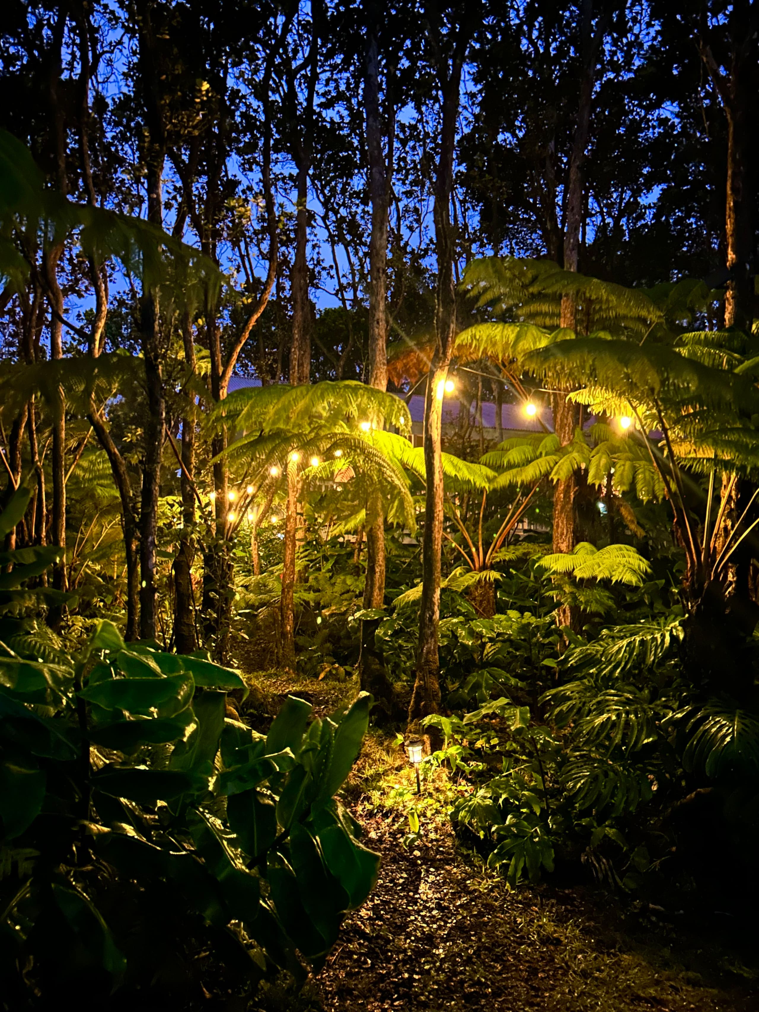 Hale Ohana- Volcano, HI - Photo 69