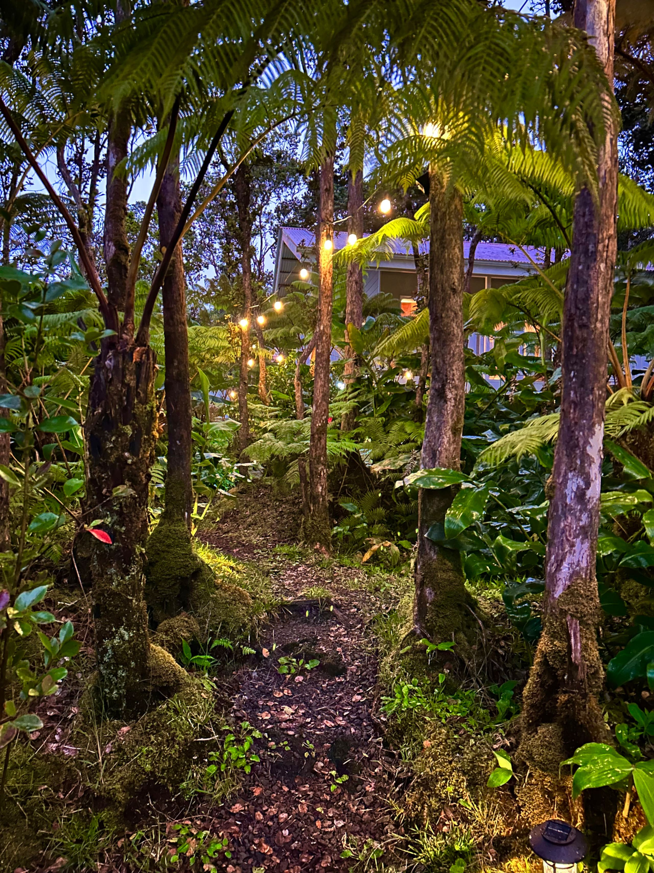 Hale Ohana- Volcano, HI - Photo 73