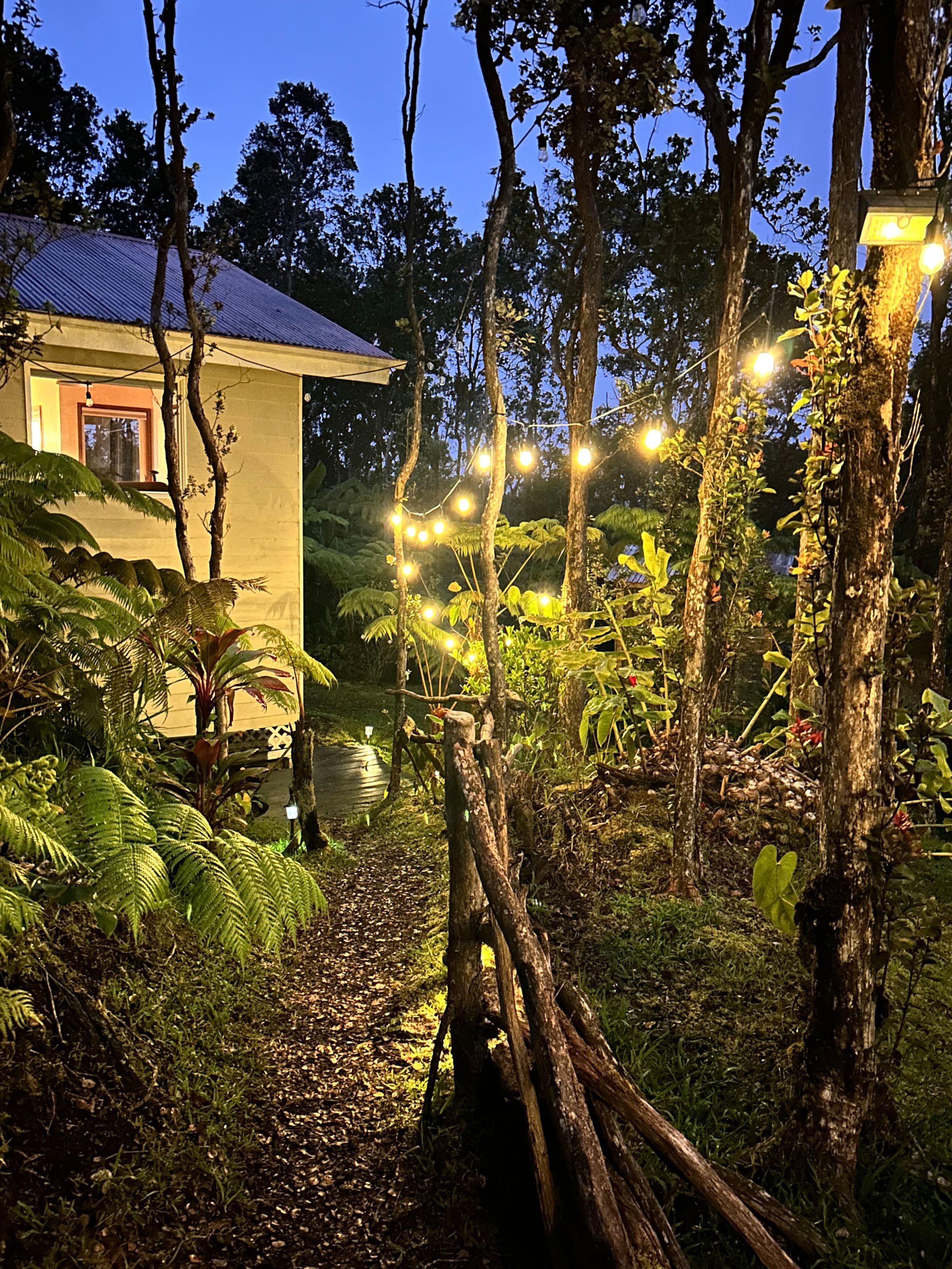 Hale Ohana- Volcano, HI - Photo 71