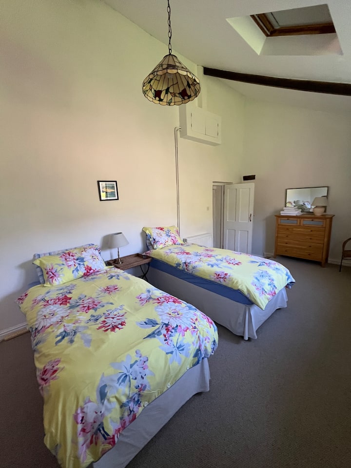 Downstairs twin bedroom with 2 single beds and decorative fireplace
