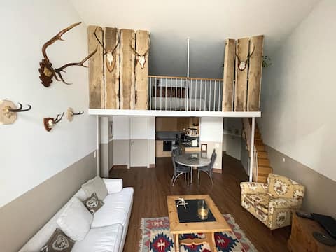 Top performing Airbnb: Deer Apartment with a beautiful Roseg Glacier view in Pontresina
