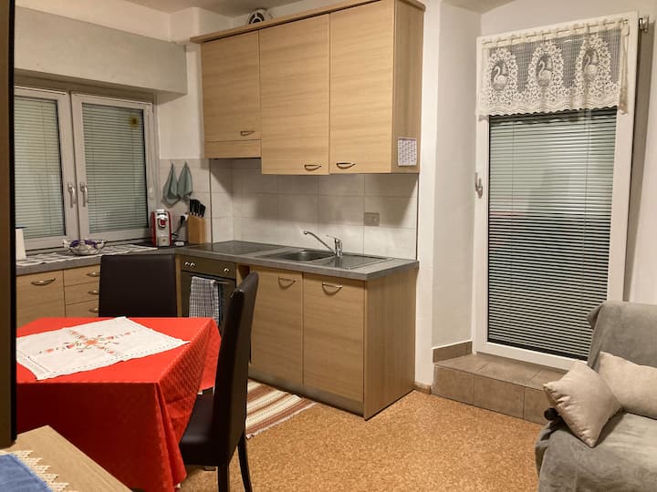 La Primula Bilocale, 2 Letti+1 Se Serve E 1 Garage - Predazzo