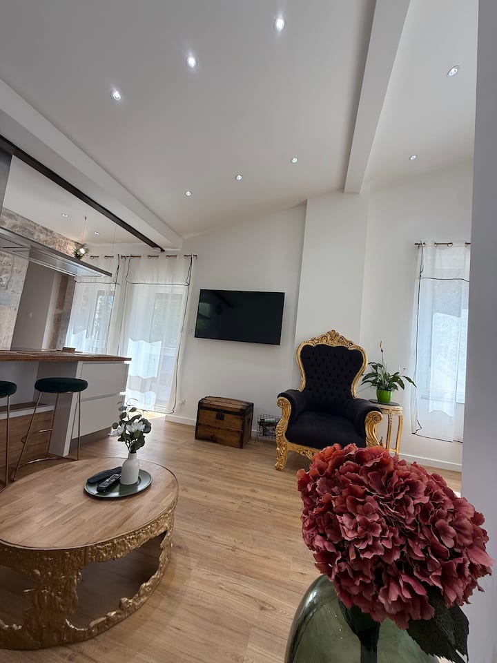 Le Marc D’or Appartement Climatisé /2 Chambres - Dijon