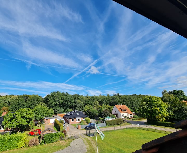 منطقة المعيشة