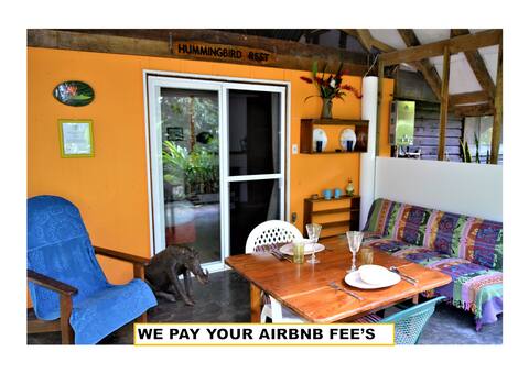 Hummingbird Rest for a 'Jungle Experience' in Town
