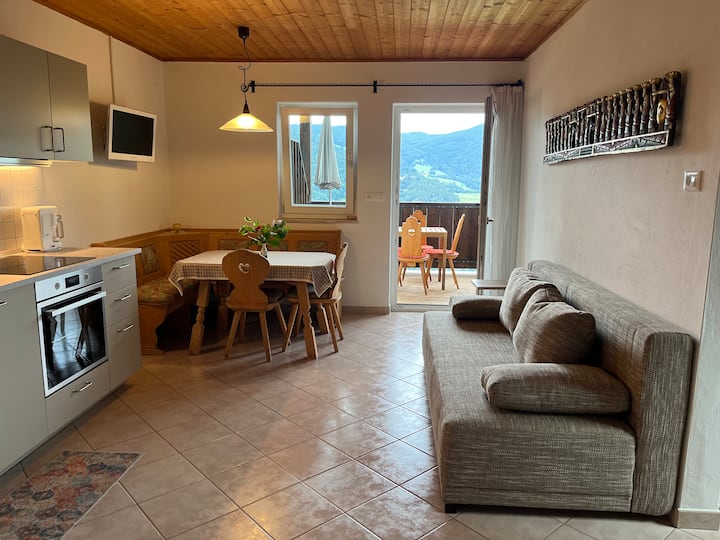 Villa Dorfer, Wohnung 2 Hammerwand - Tires