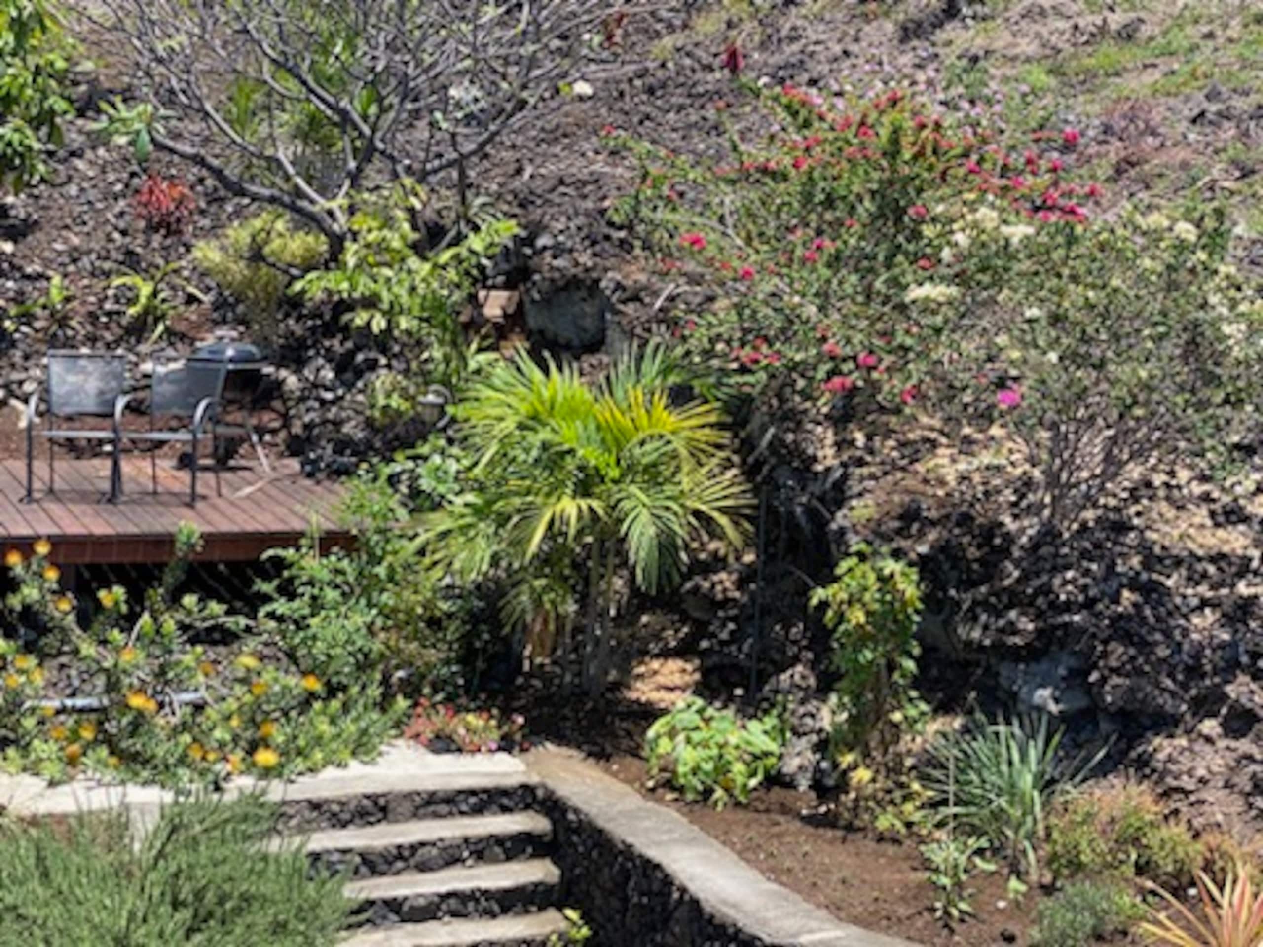 Breathtaking Ocean Views of Kona Coastline - Photo 11