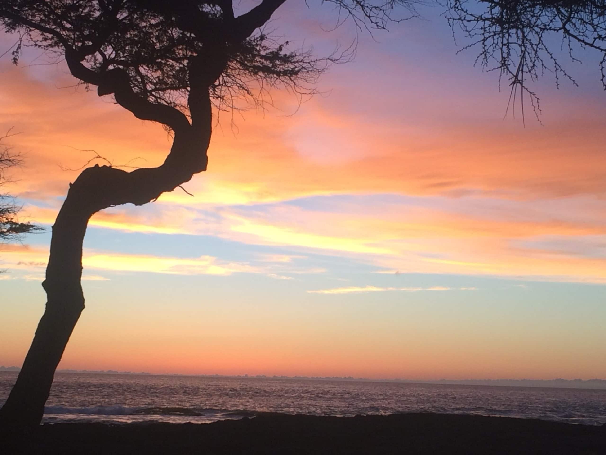 Breathtaking Ocean Views of Kona Coastline - Photo 25