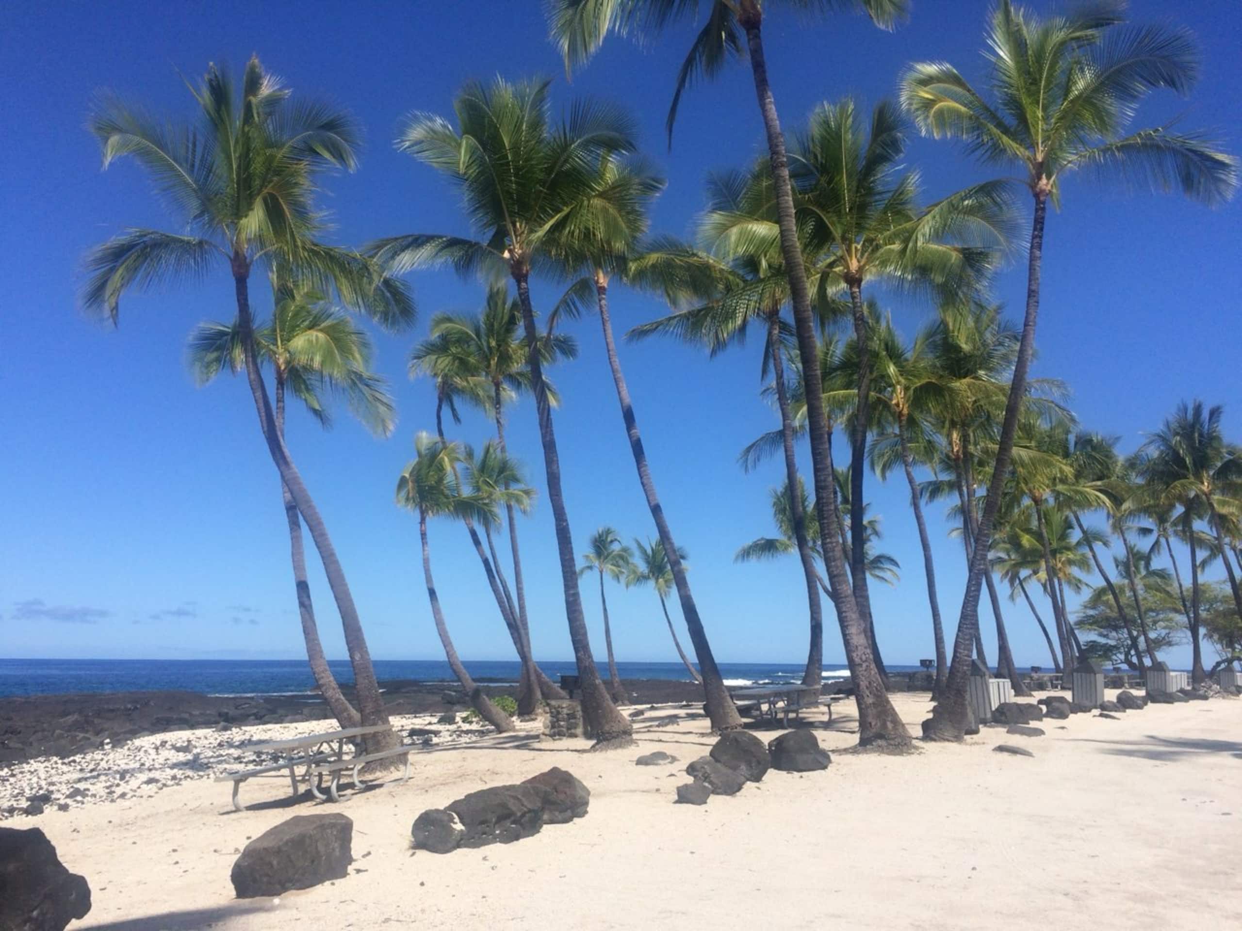 Breathtaking Ocean Views of Kona Coastline - Photo 22