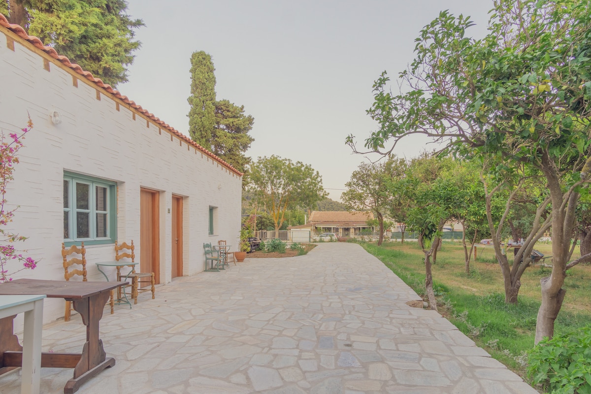 A stone pathway leads to a traditional white-washed building, framed by several fruit trees. Outdoor seating arrangements include wooden chairs and tables, providing a serene space to relax amidst the natural surroundings. Lush greenery extends throughout the property, enhancing the estate's peaceful ambiance.