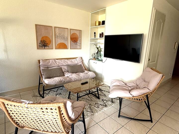 Appartement Accès Direct Au Lac - Parc Privatif - Thonon-les-Bains
