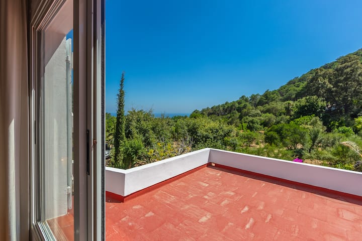 Casa Pájaro Del Músico Bolonia - Zahara de los Atunes