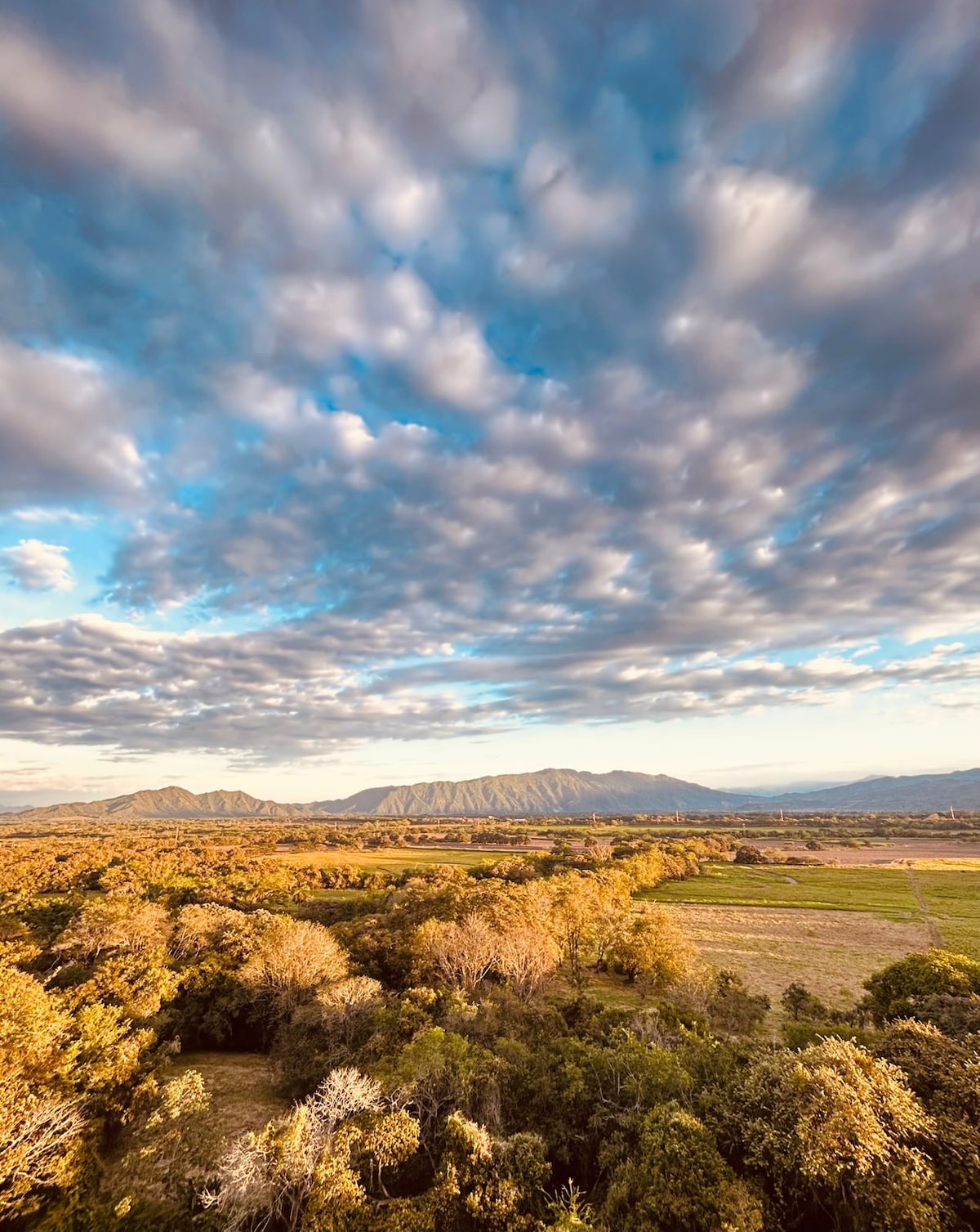 A sweeping view captures the natural landscape from a height. Rolling hills and lush greenery stretch across the foreground, while majestic mountains rise in the distance under a sky filled with dynamic, textured clouds.