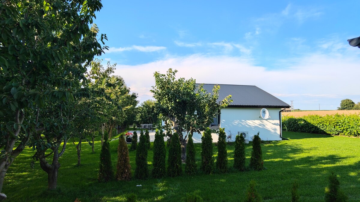A light-colored building is positioned amidst a lush green lawn, surrounded by trees and shrubs. Tall, neatly trimmed hedges line the foreground, while a clear blue sky stretches overhead, enhancing the calmness of the rural setting.