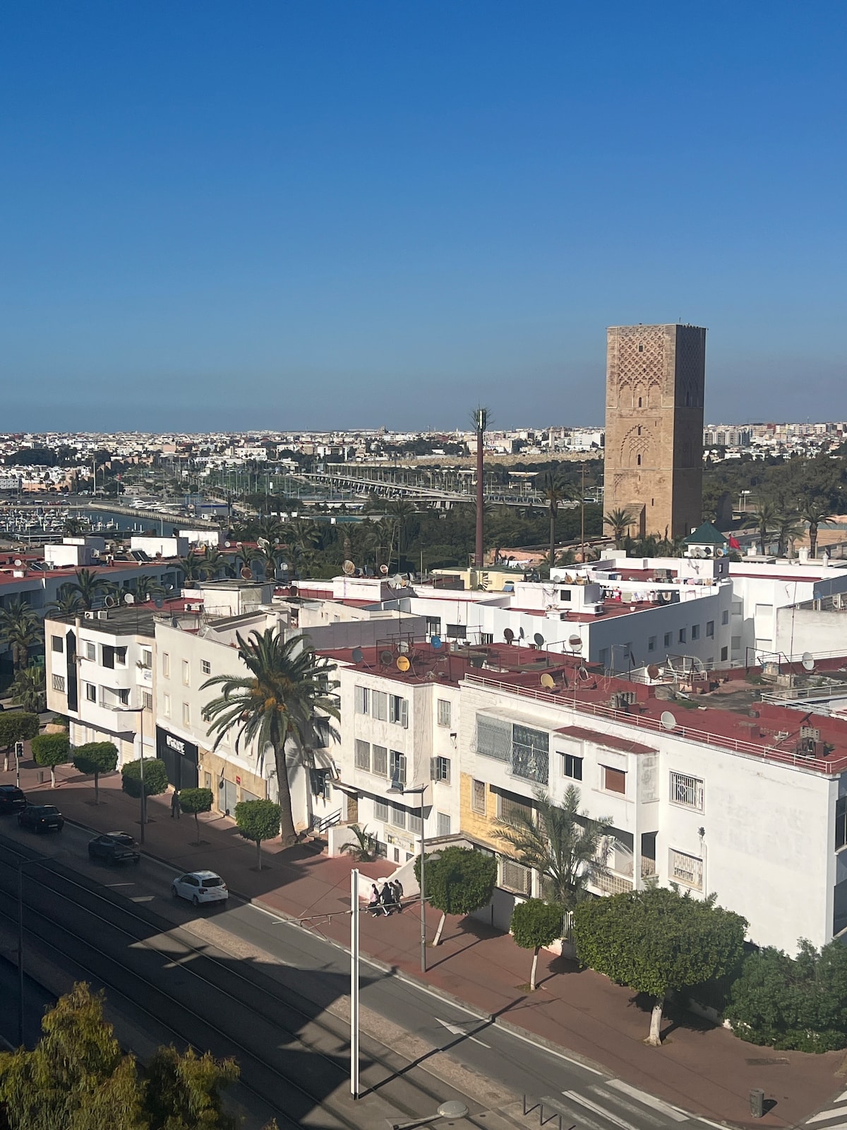 A panoramic view showcases the skyline of Rabat, dotted with palm trees and residential buildings featuring red rooftops. The iconic Hassan Tower stands prominently in the background, framed by a clear blue sky, highlighting the vibrant urban landscape.