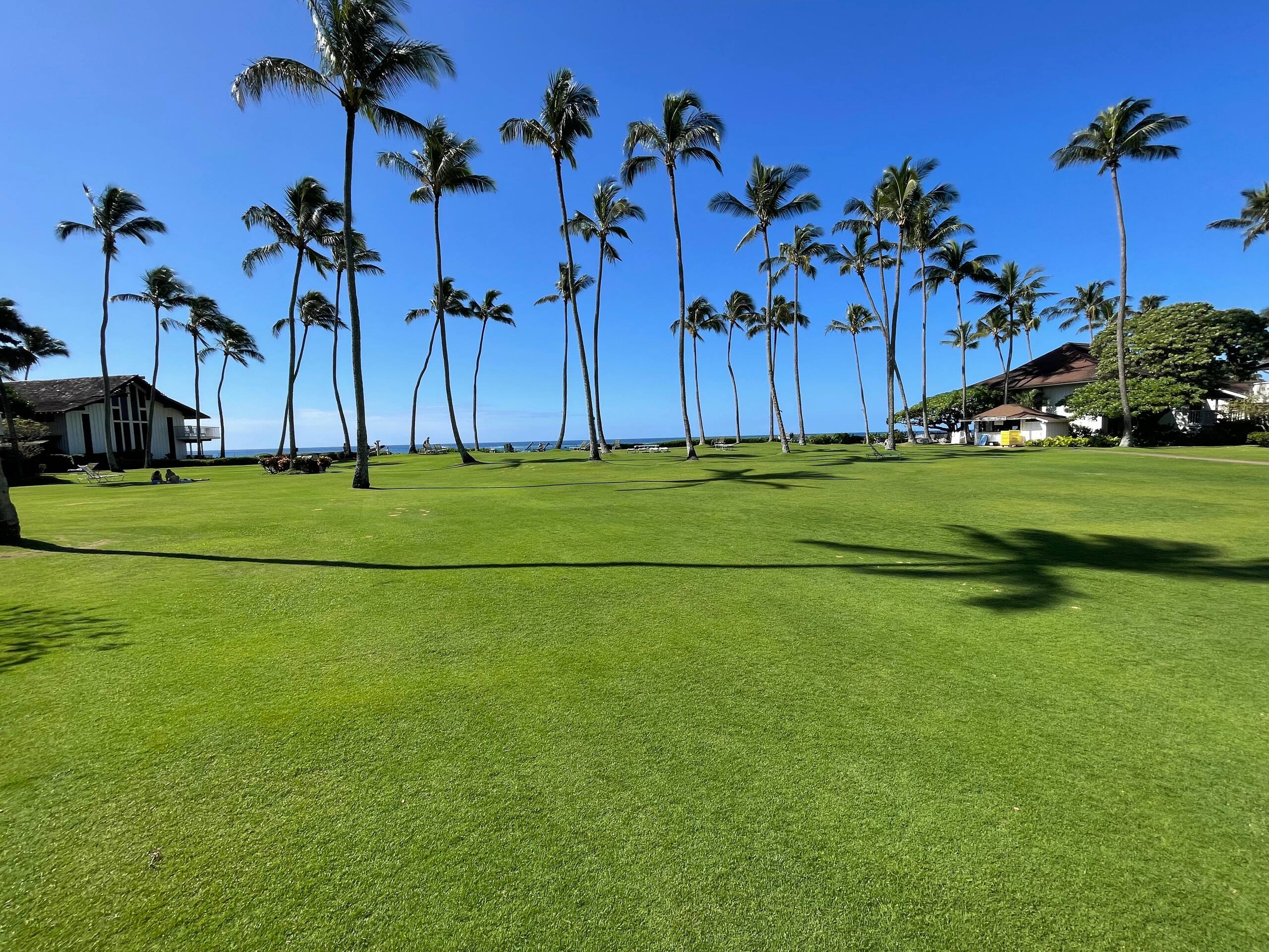 Condo in Koloa · ★4.76 · 1 bedroom · 2 beds · 1 bath - Photo 25