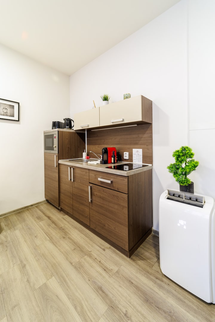 Residence Old Town Studio 2a - Prague