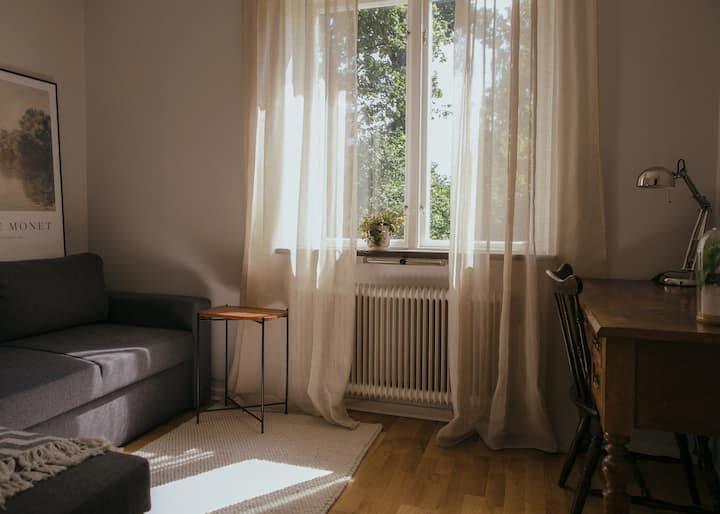 חדר שינה למטה עם שמש בבוקר/באמצע היום. הספה הנפתחת מתאימה לשני אנשים (רוחב 140 ס"מ). 