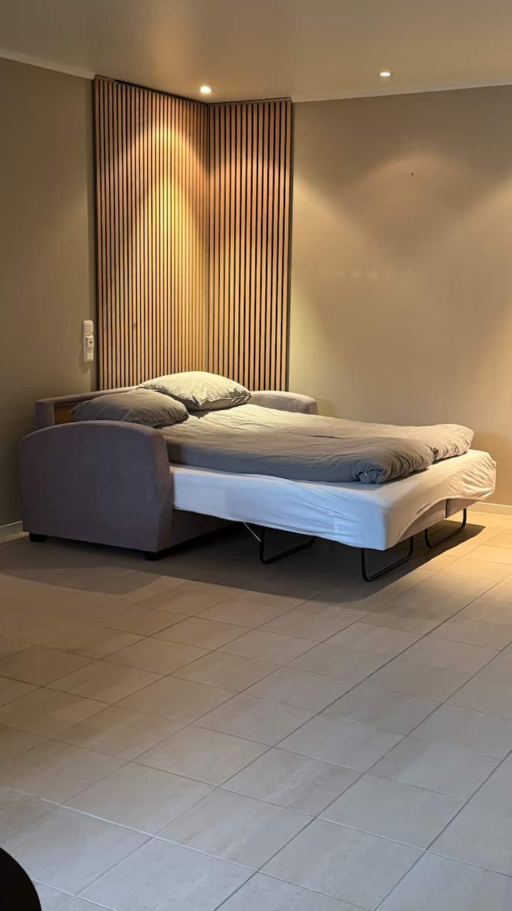 أريكة يمكن تحويلها إلى سرير، تتسع لشخصين.