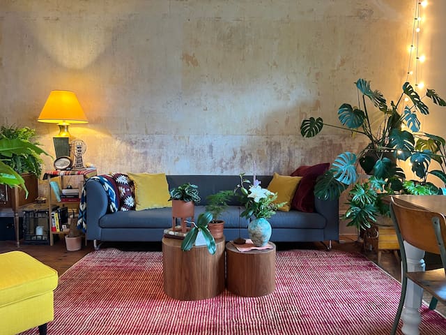 Historic Duplex with Terrasse in city center