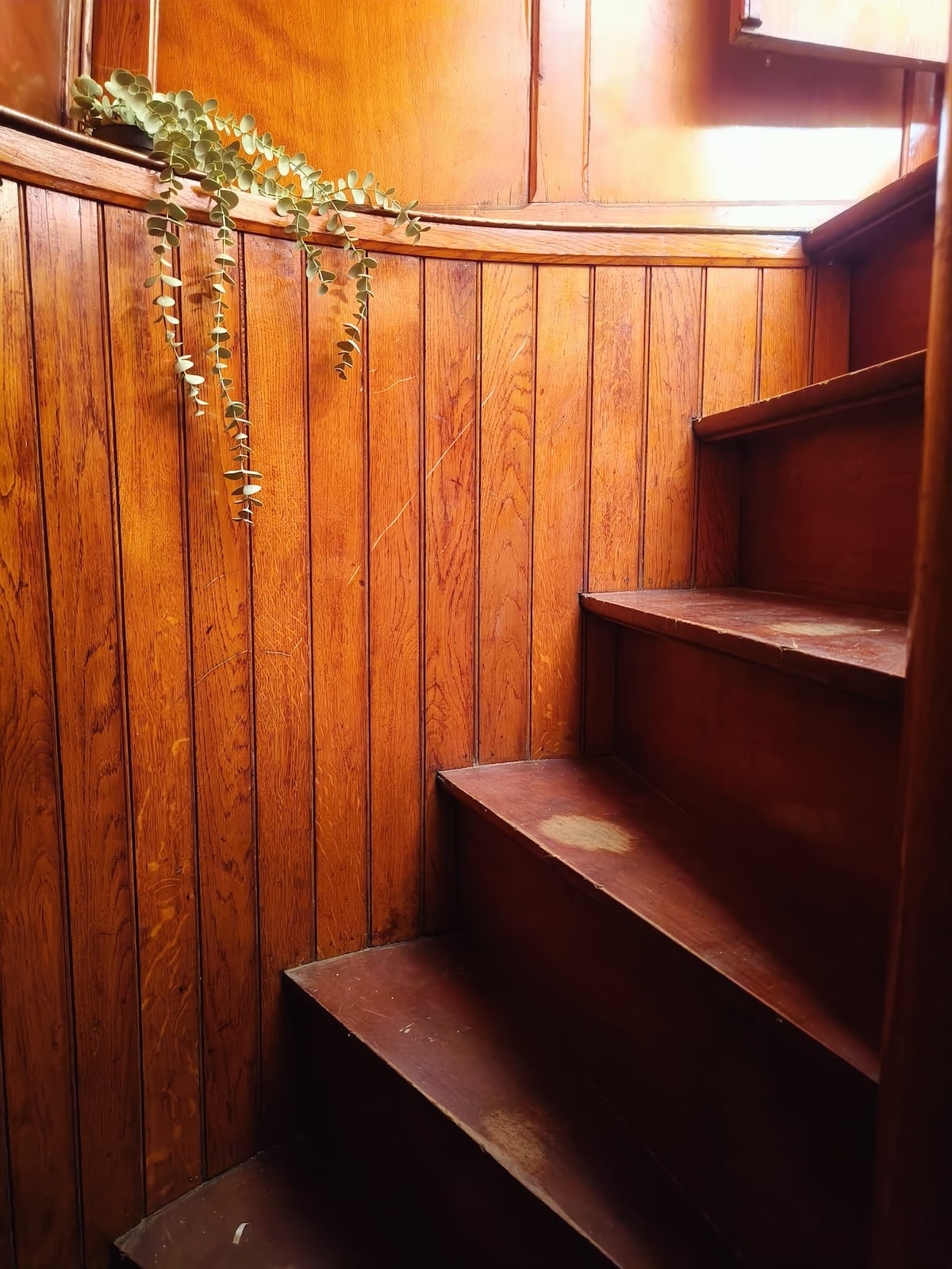 Bedroom image 3 at Lou Andrea Salome — historic cargo-ship wheelhouse in Ghent
