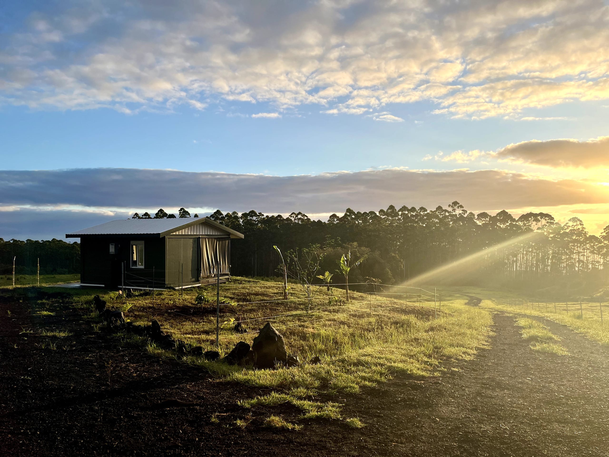 Tiny Home - Photo 14