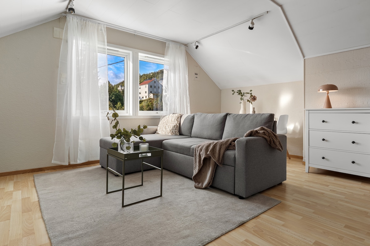 Udoban dnevni boravak koji se po potrebi pretvara u kauč na razvlačenje. 