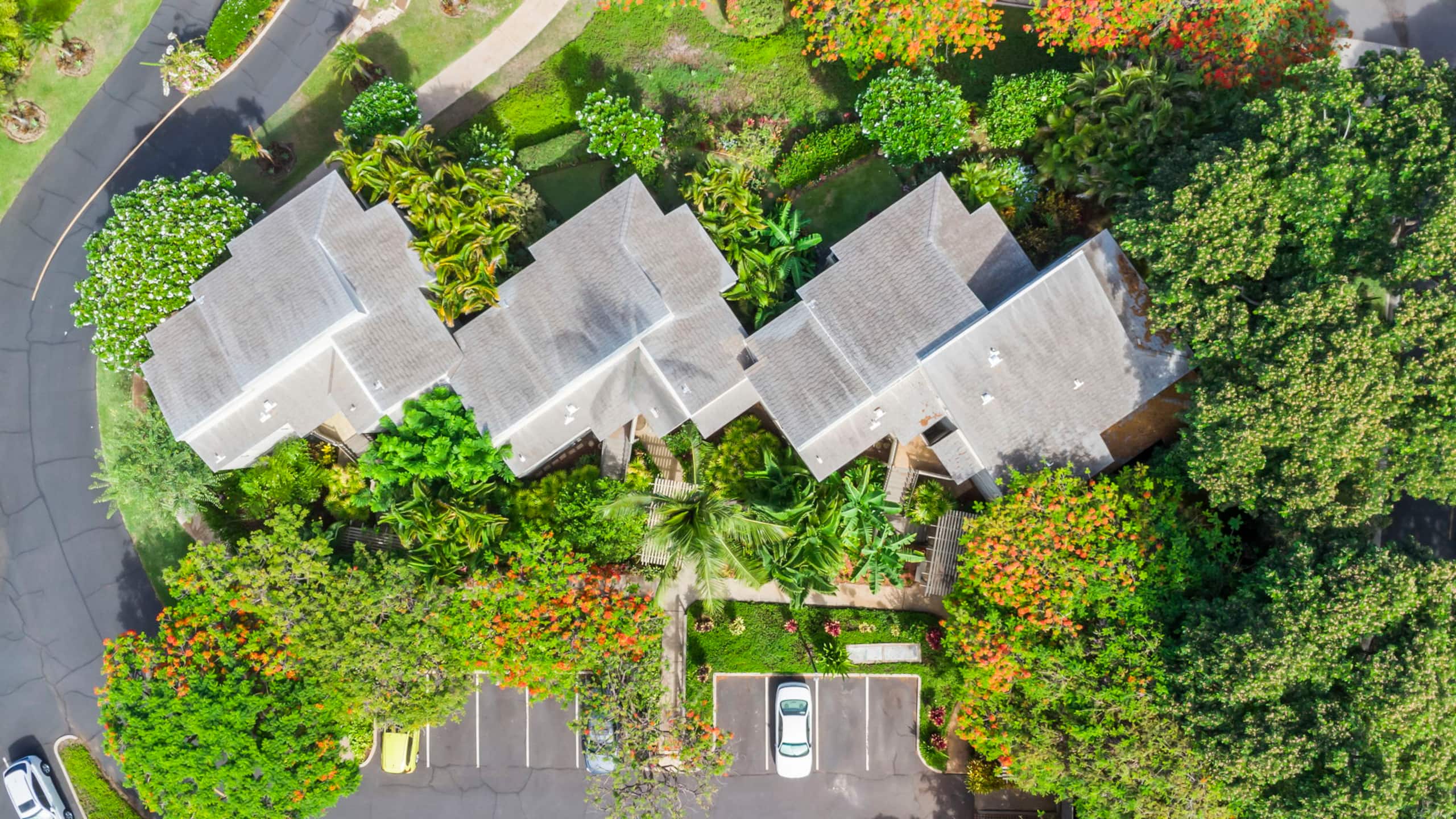 Condo in Wailea · ★4.95 · 1 bedroom · 3 beds · 2 baths - Photo 28
