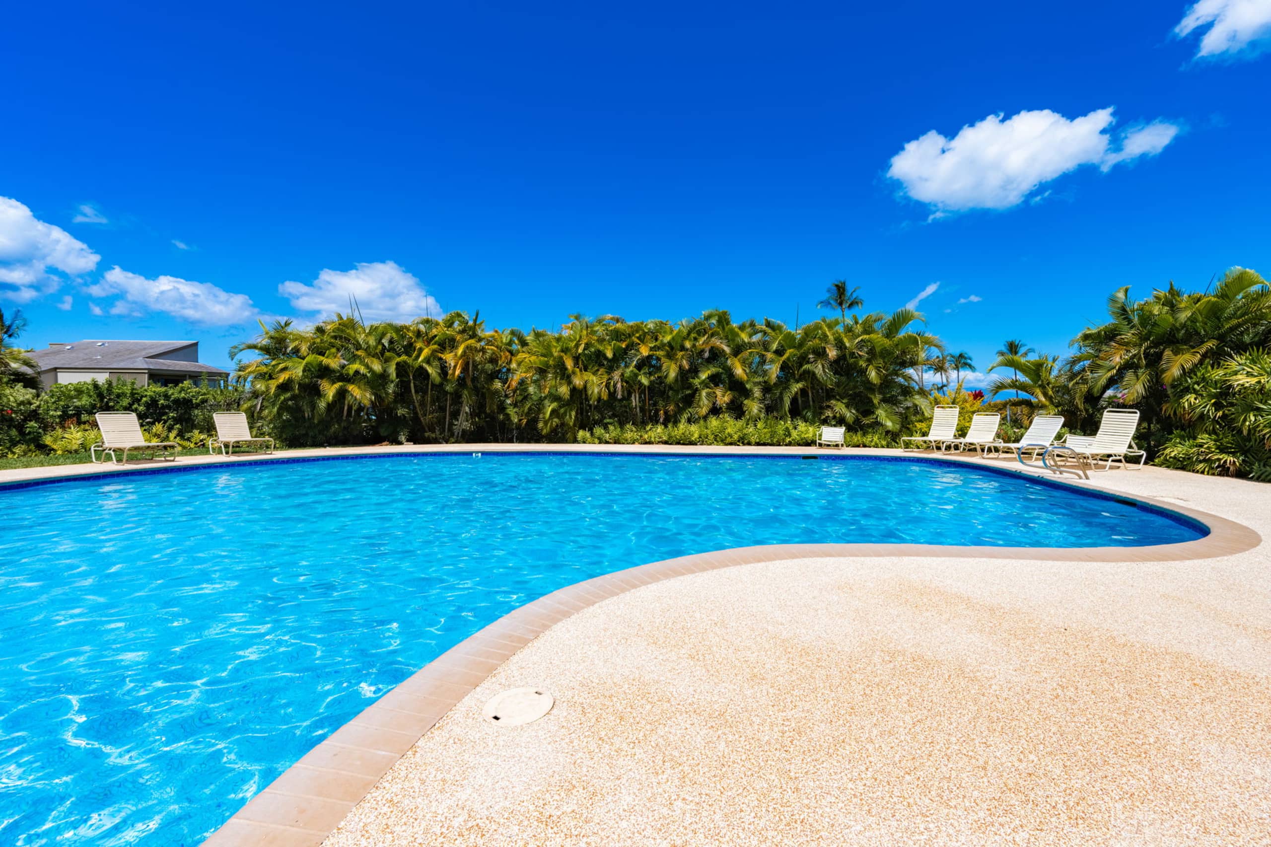Condo in Wailea · ★4.95 · 1 bedroom · 3 beds · 2 baths - Photo 50