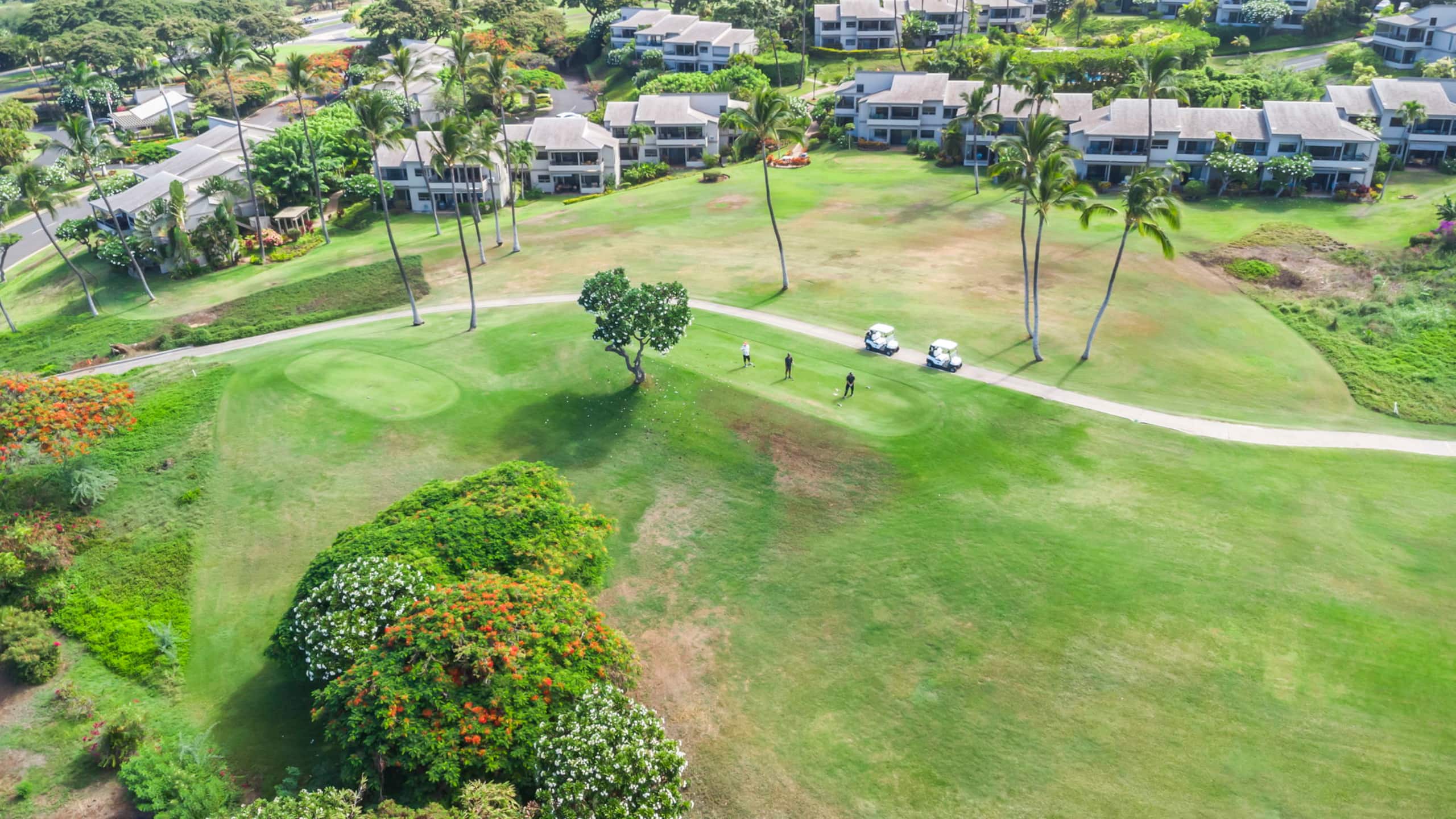 Condo in Wailea · ★4.95 · 1 bedroom · 3 beds · 2 baths - Photo 33
