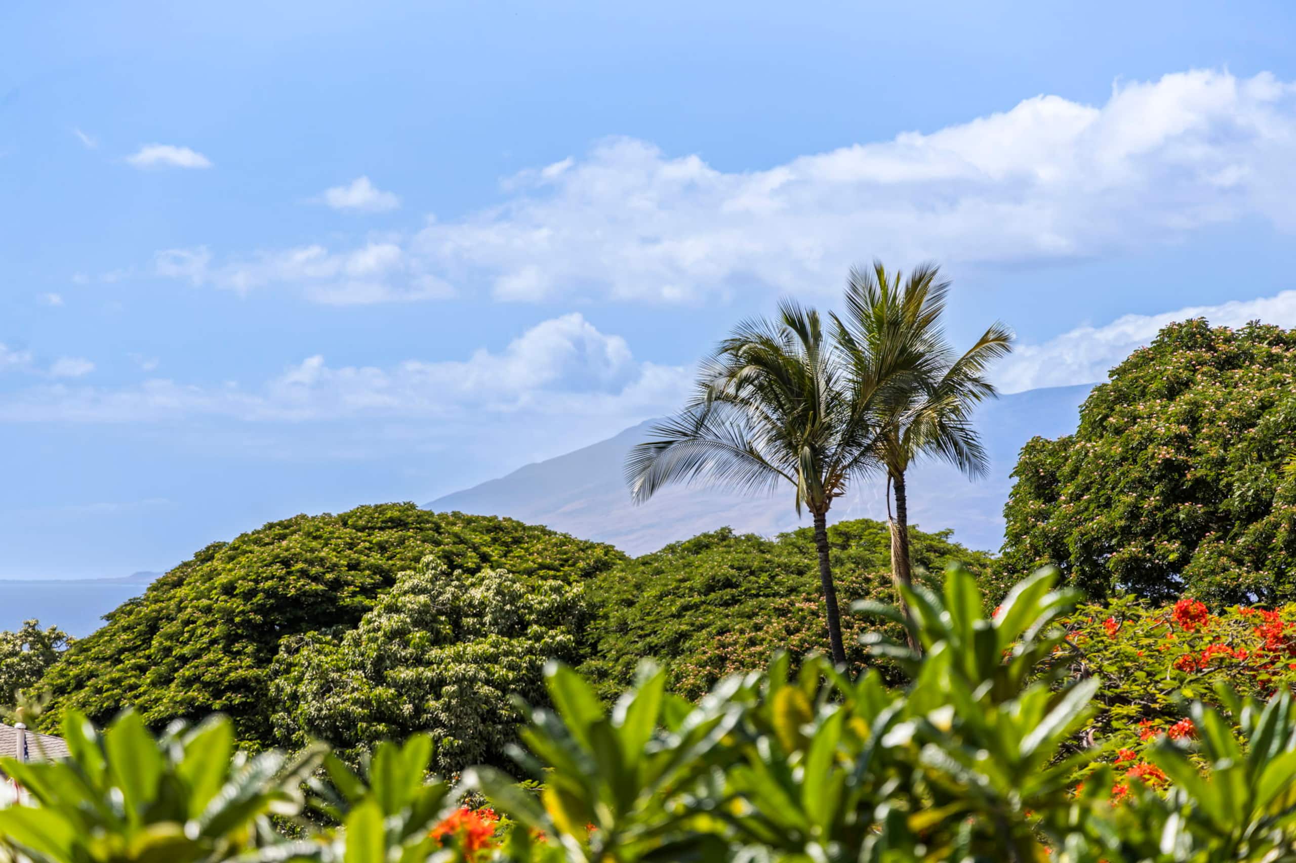 Condo in Wailea · ★4.95 · 1 bedroom · 3 beds · 2 baths - Photo 23