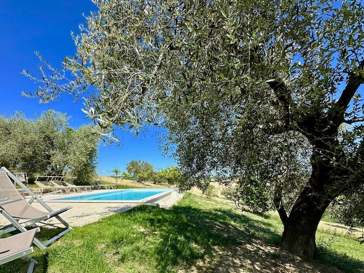 Dimora Storica Di Campagna Con Piscina Panoramica - Senigallia