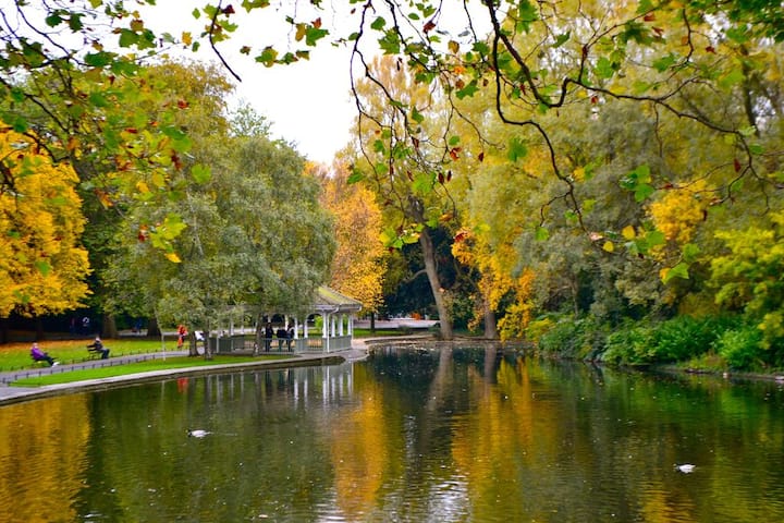 St Stephen Green Studio Apartment - Dublin