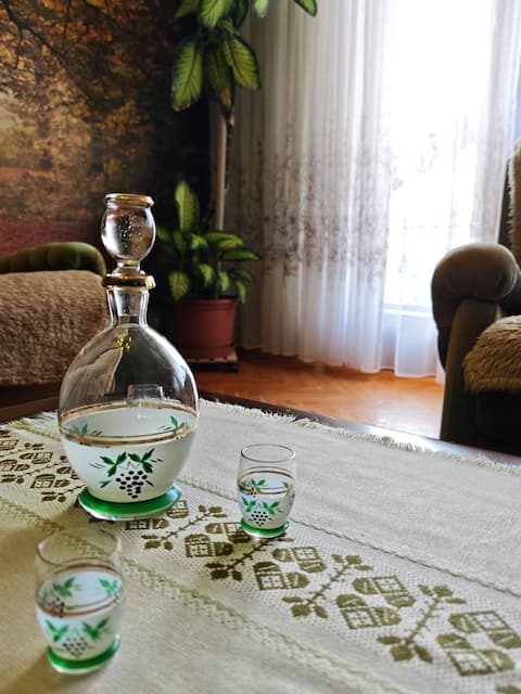 Successful Airbnb property: Vintage Apartment Erjavec in Žirovnica