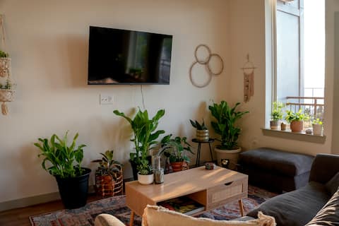 Popular Airbnb listing: Cozy Plant Studio, Downtown View, King Bed, Pool in Washington Avenue Coalition / Memorial Park