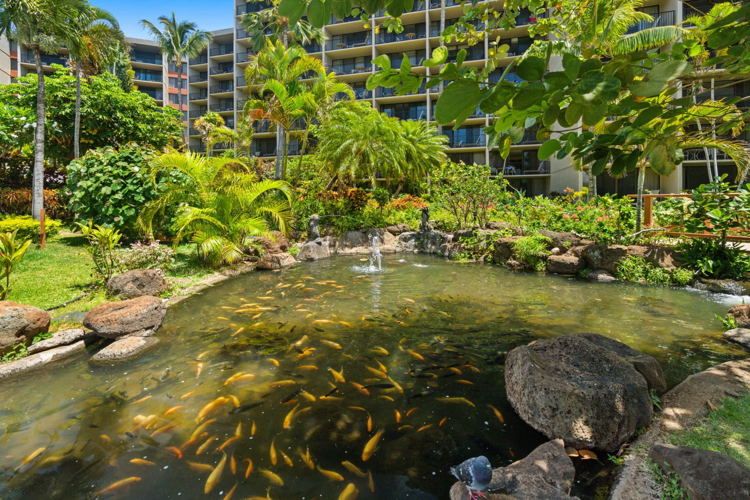 Condo in Lahaina · ★5.0 · Studio · 1 bed · 1 bath - Image 42