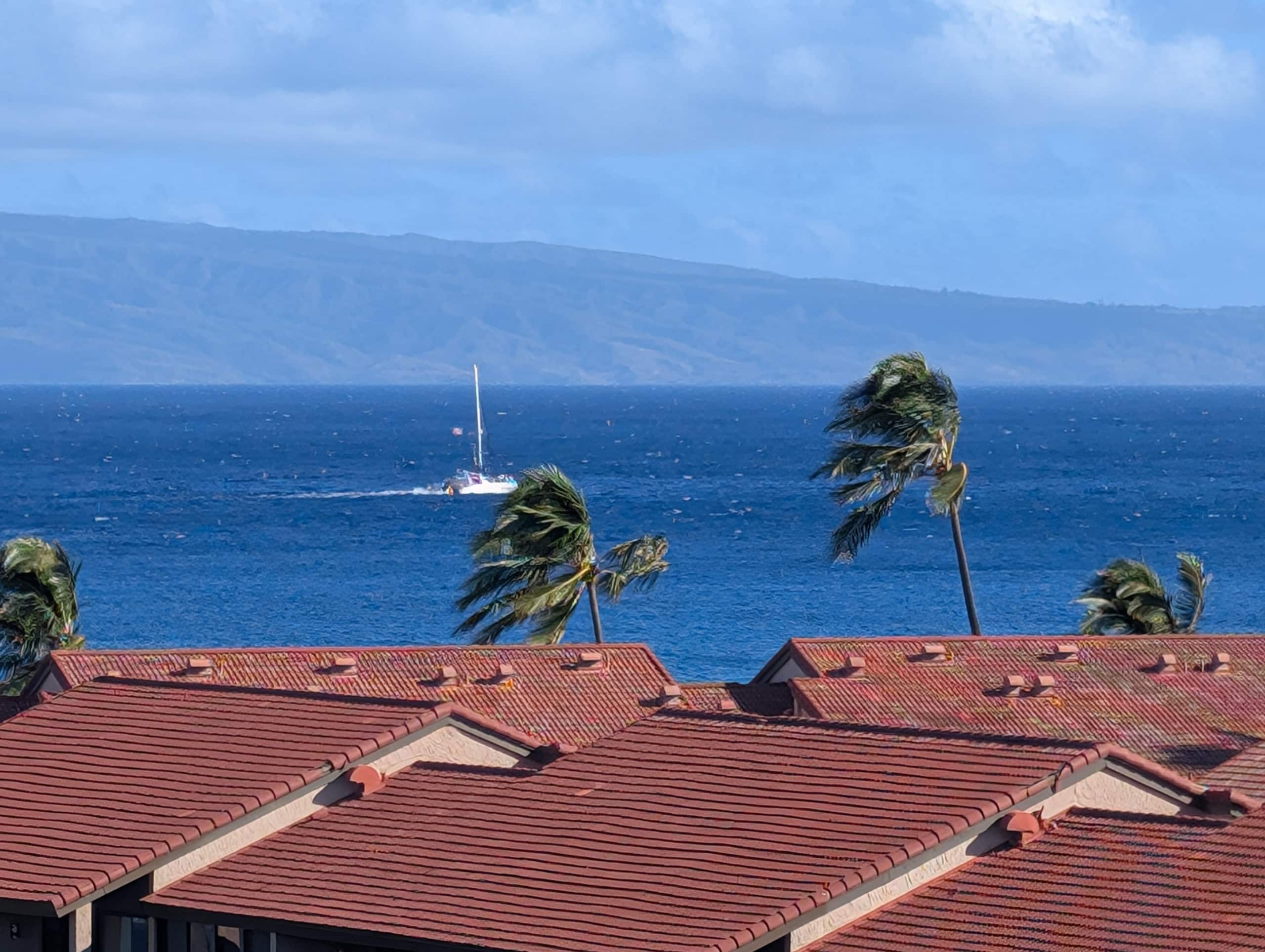 Condo in Lahaina · ★5.0 · Studio · 1 bed · 1 bath - Image 10