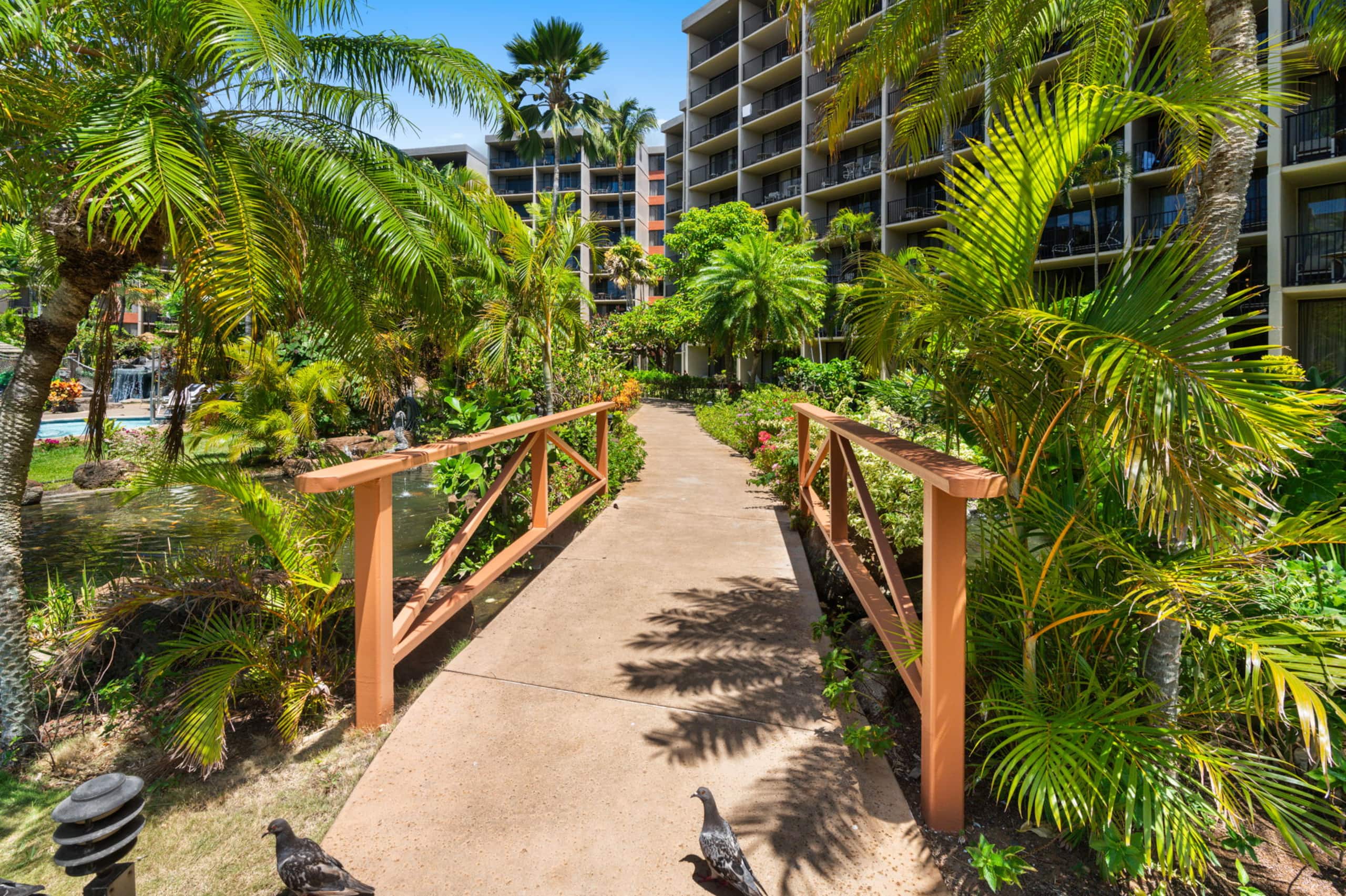 Condo in Lahaina · ★5.0 · Studio · 1 bed · 1 bath - Image 41