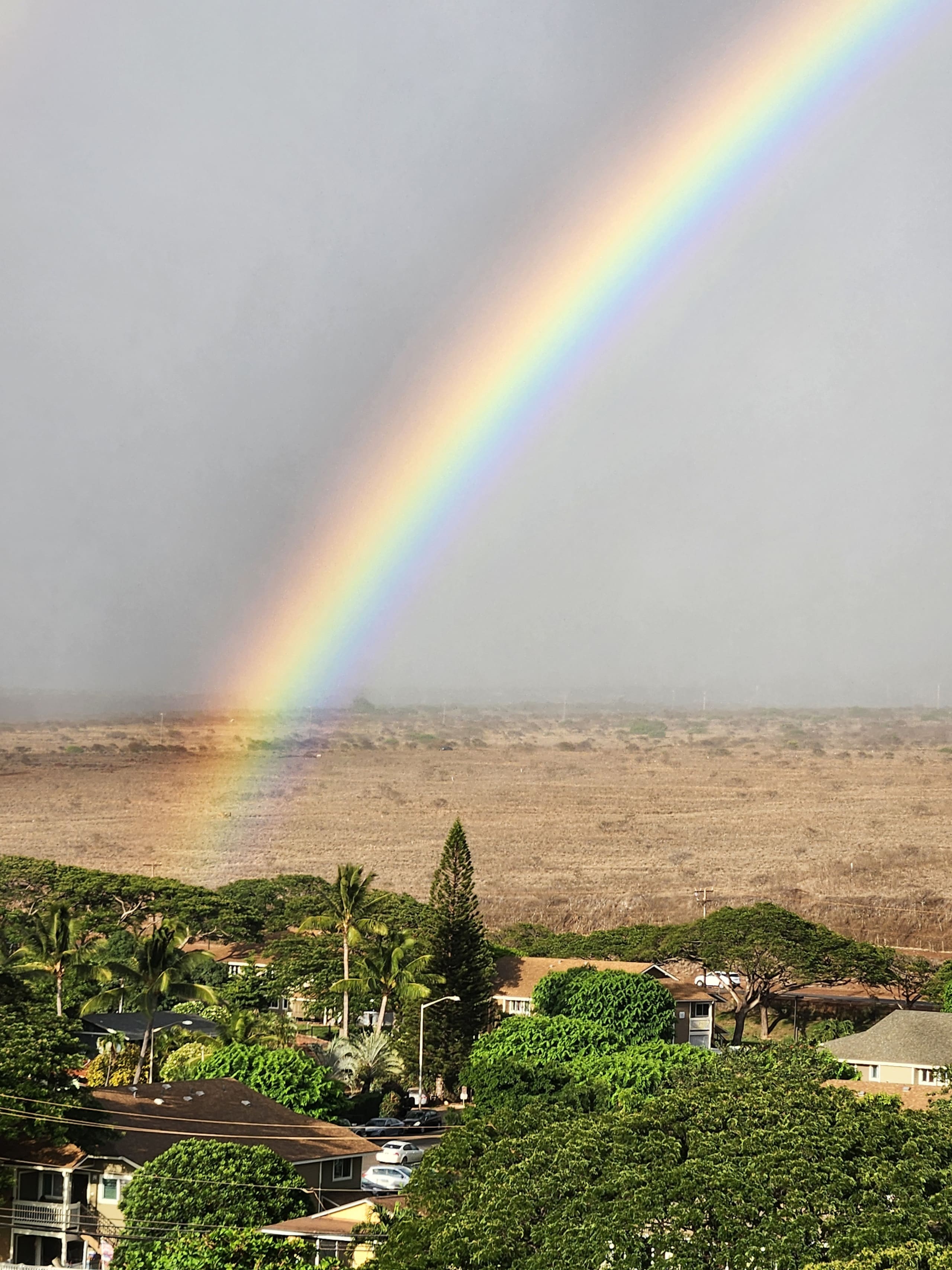Condo in Lahaina · ★5.0 · Studio · 1 bed · 1 bath - Image 40