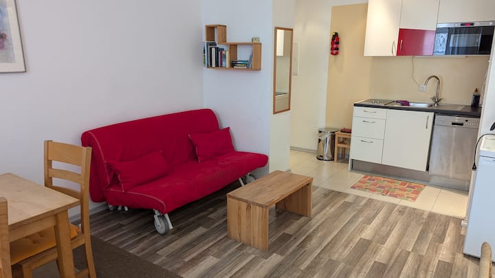 舒适的沙发，也可用作沙发床。