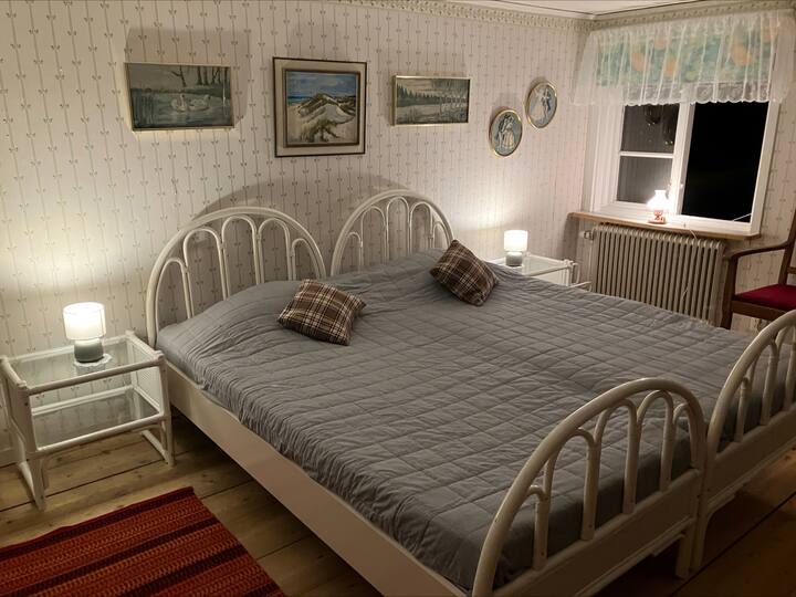 La stanza verde ha due letti singoli che, con i mobili originali, sono assemblati in un letto matrimoniale. Naturalmente, potete separarvi se siete solo amici che vogliono dormire nella stanza. 