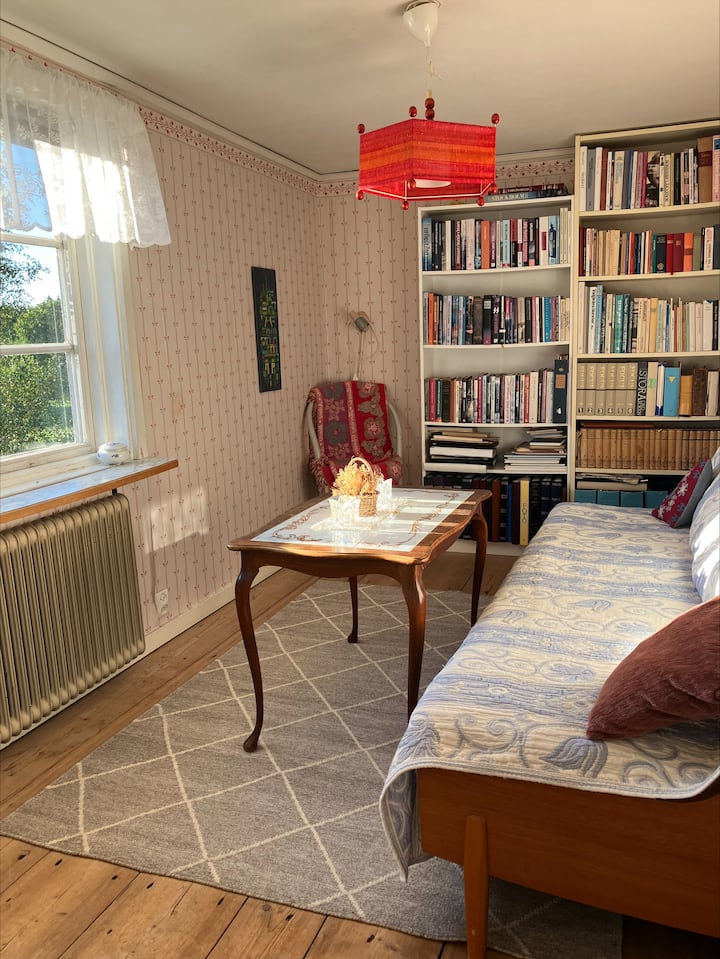 La stanza rossa con libri e un divano letto con letto estraibile, spazio per due ospiti.