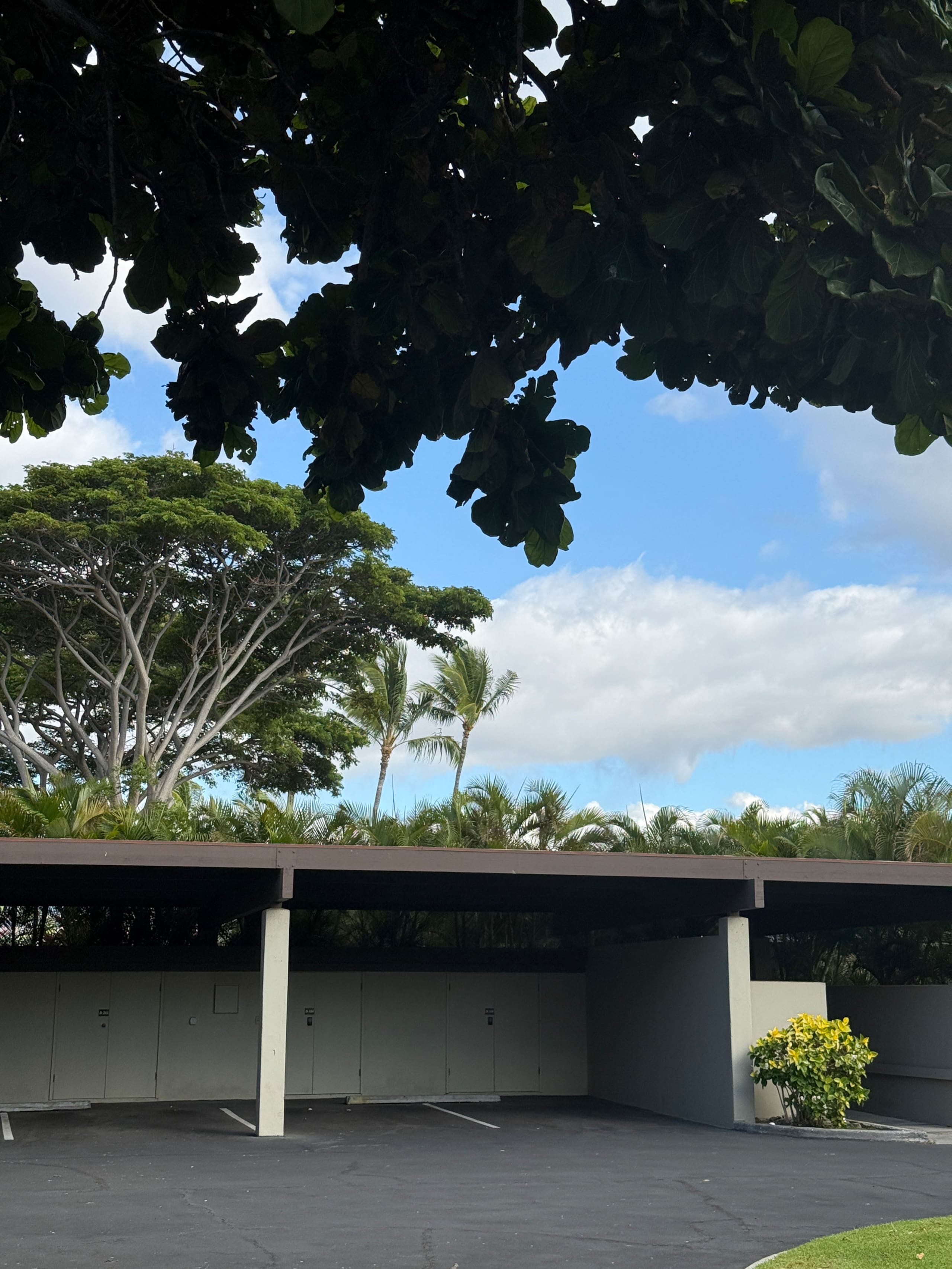 The Premier Oceanfront View at Mauna Lani Point - Image 24