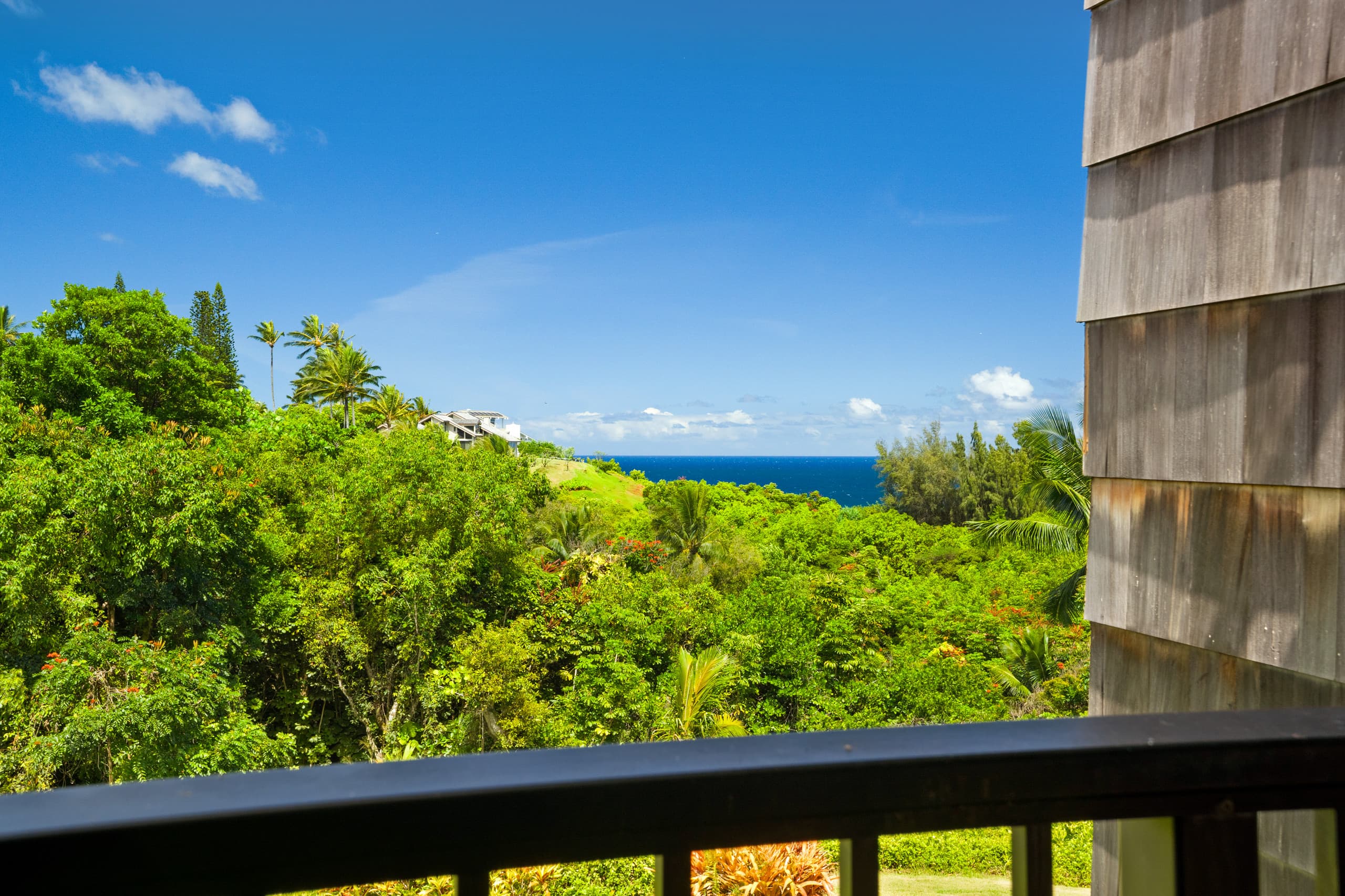 Condo in Princeville · ★4.96 · 1 bedroom · 2 beds · 1 bath - Image 19