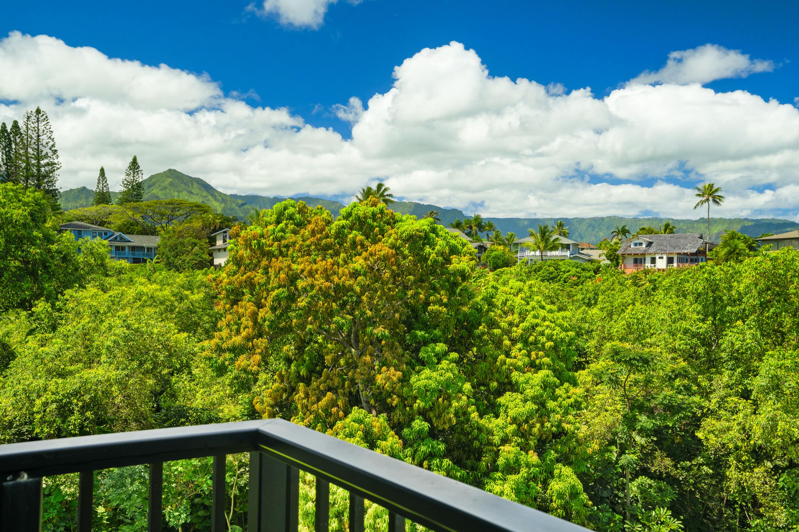 Condo in Princeville · ★4.96 · 1 bedroom · 2 beds · 1 bath - Image 18