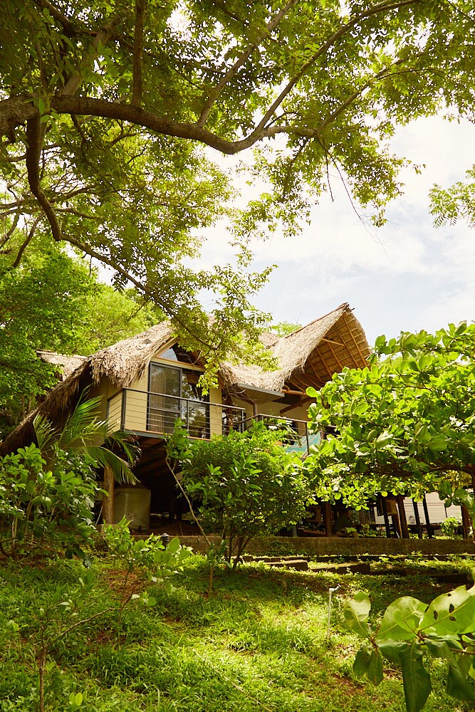 A modern house with thatched roofing is surrounded by lush greenery, including various tropical plants and trees. The elevated structure features large glass windows that enhance the connection with the natural environment, offering a serene atmosphere.