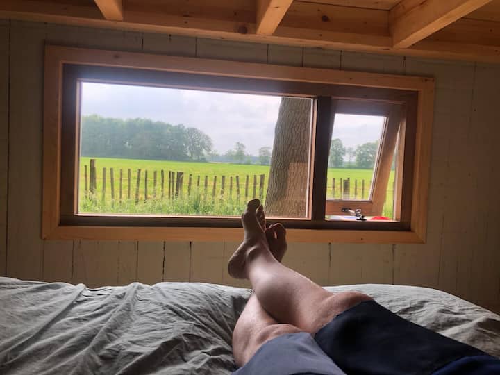 საძინებელი 1