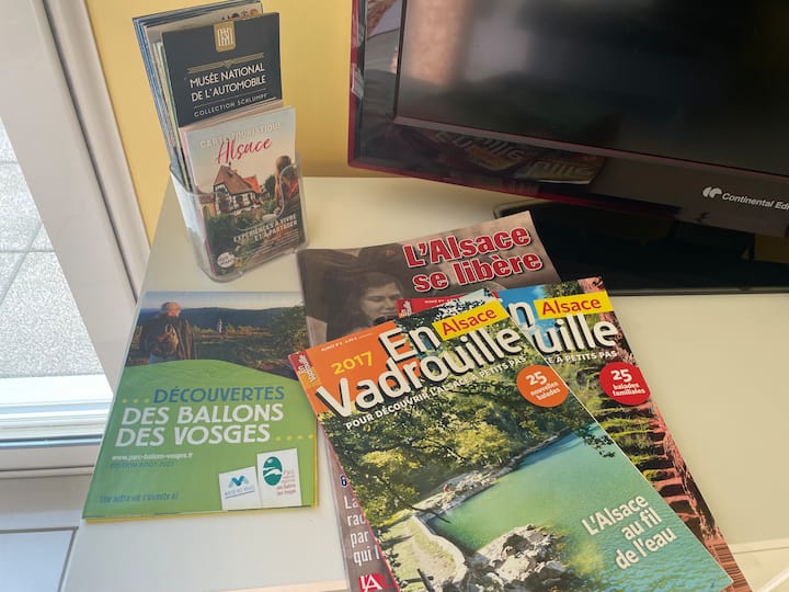 Un Cocon En Alsace - ibis Mulhouse Ile Napoleon