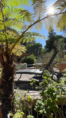 Unique Hout Bay House on Half Acre gallery image 2